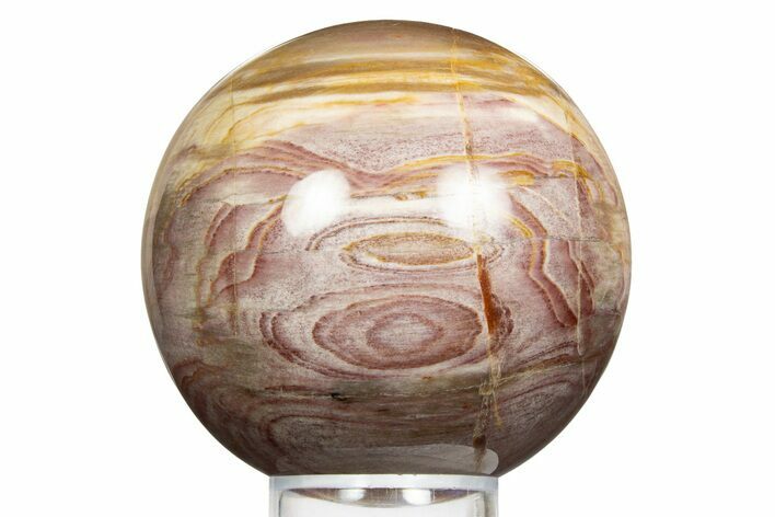 Colorful Petrified Wood (Araucaria) Sphere - Madagascar #323598